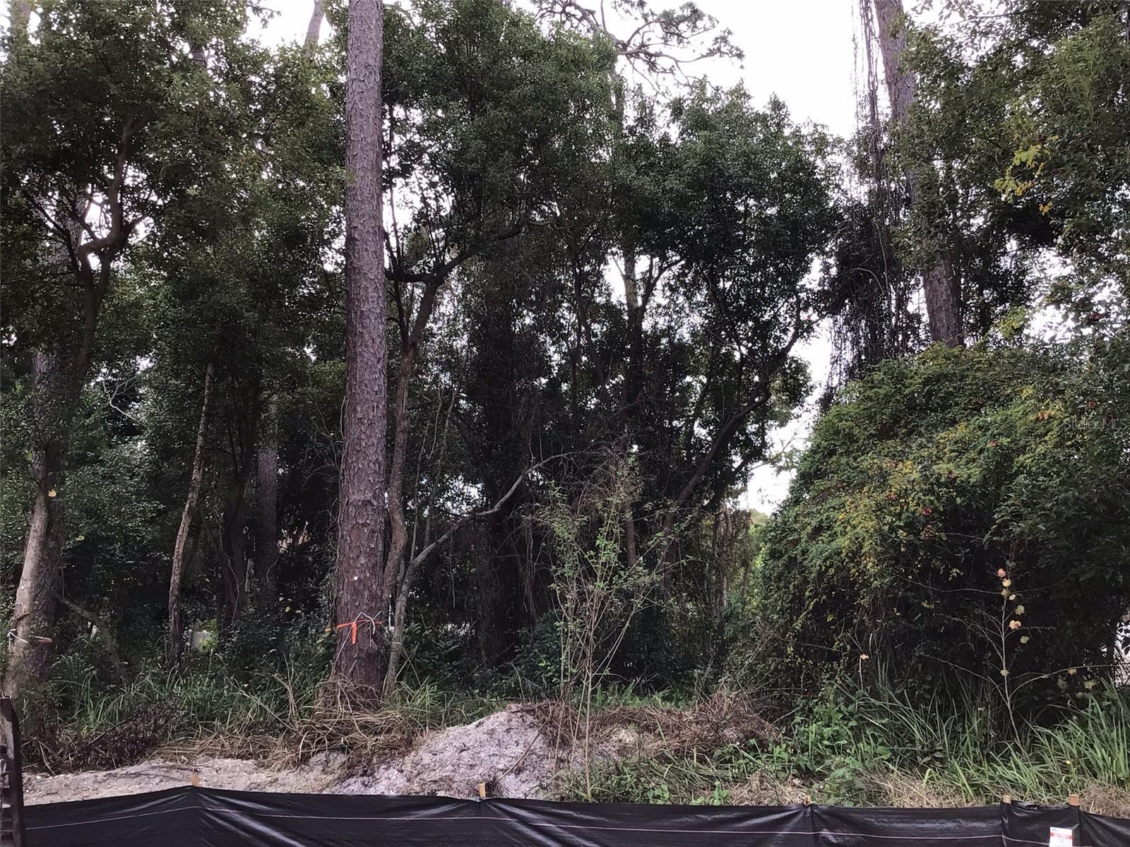 Photo of 1294 ALMARIA COURT PALM HARBOR FL 34683