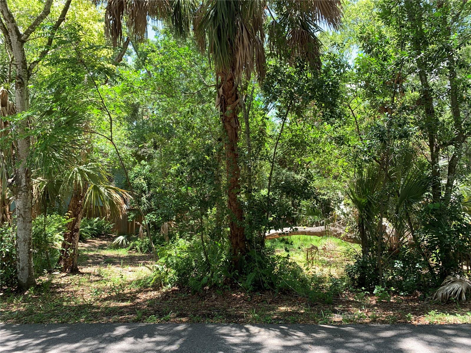 Photo of CENTER AVENUE TARPON SPRINGS FL 34689