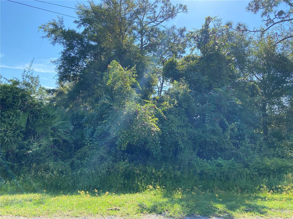 Photo of MORGAN PAPER STREET DELTONA FL 32725