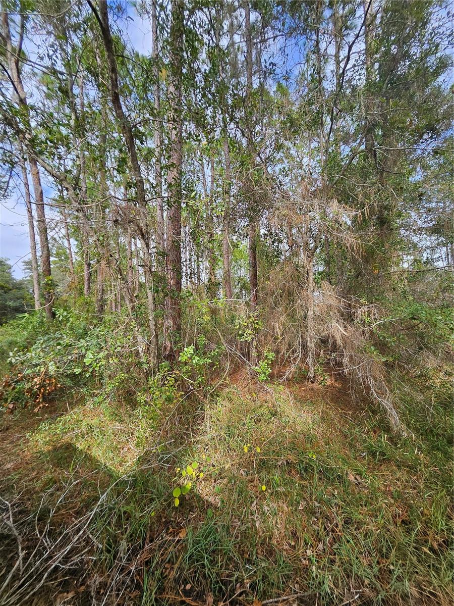Photo of No Address Listed DELTONA FL 32738