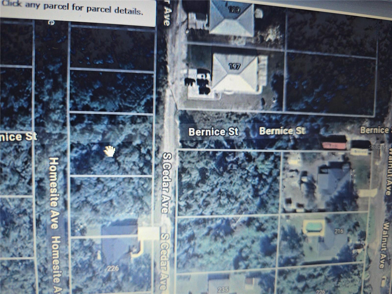 Photo of S CEDAR AVENUE ORANGE CITY FL 32763