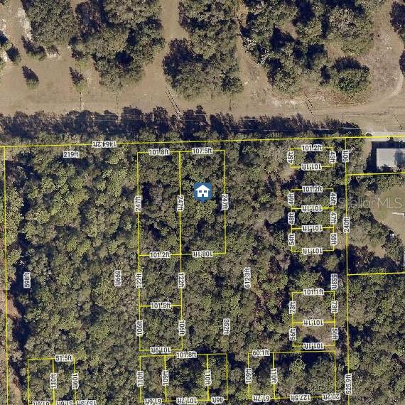 Photo of NO STREET ORANGE CITY FL 32763