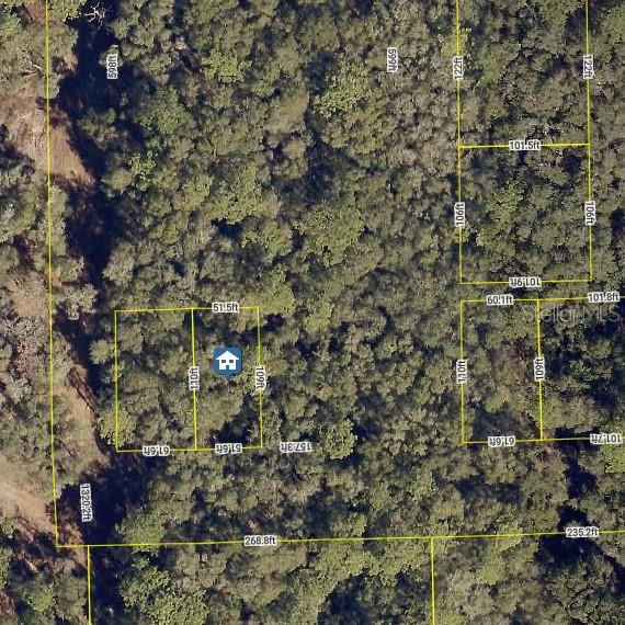Photo of NO STREET 5,637 SF ORANGE CITY FL 32763