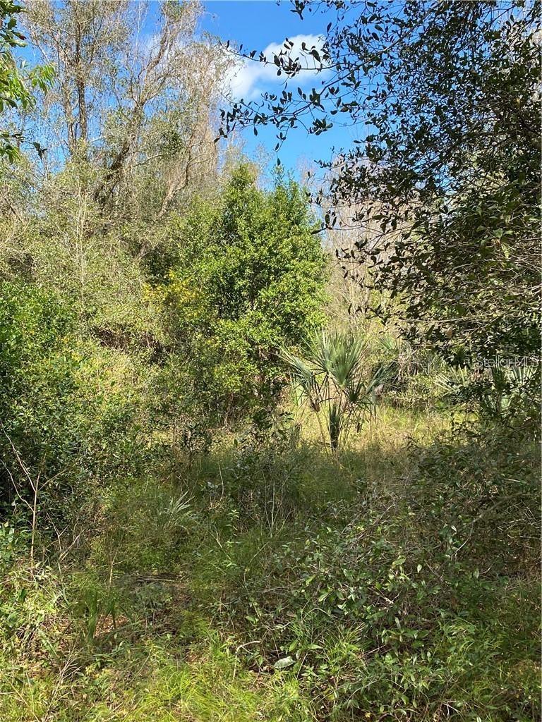 Photo of W BERESFORD ROAD DELAND FL 32720