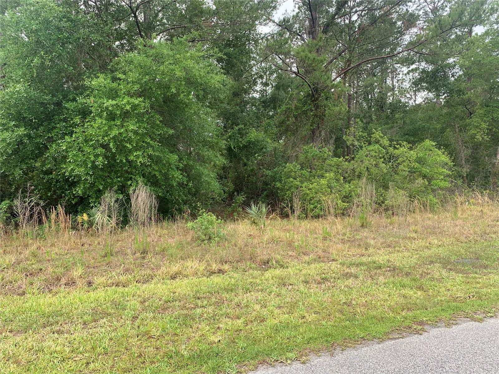 Photo of 525 LIVE OAK LOOP CRESCENT CITY FL 32112