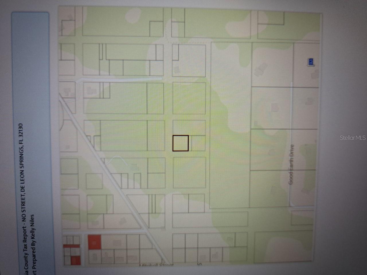 Photo of NO STREET DE LEON SPRINGS FL 32130