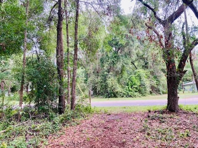 Photo of 407 RAULERSON ROAD SEVILLE FL 32190