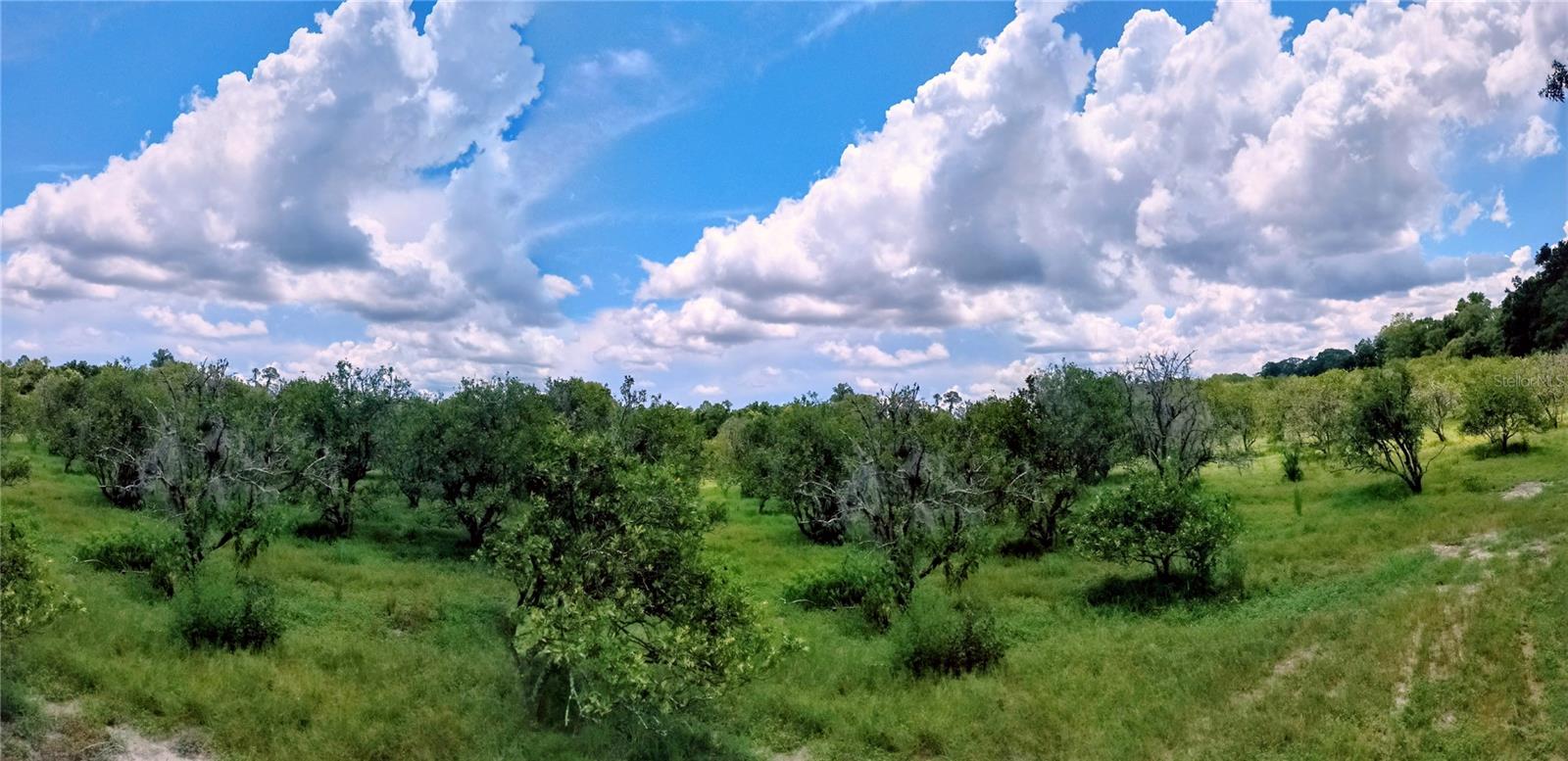 Photo of NO STREET DE LEON SPRINGS FL 32130