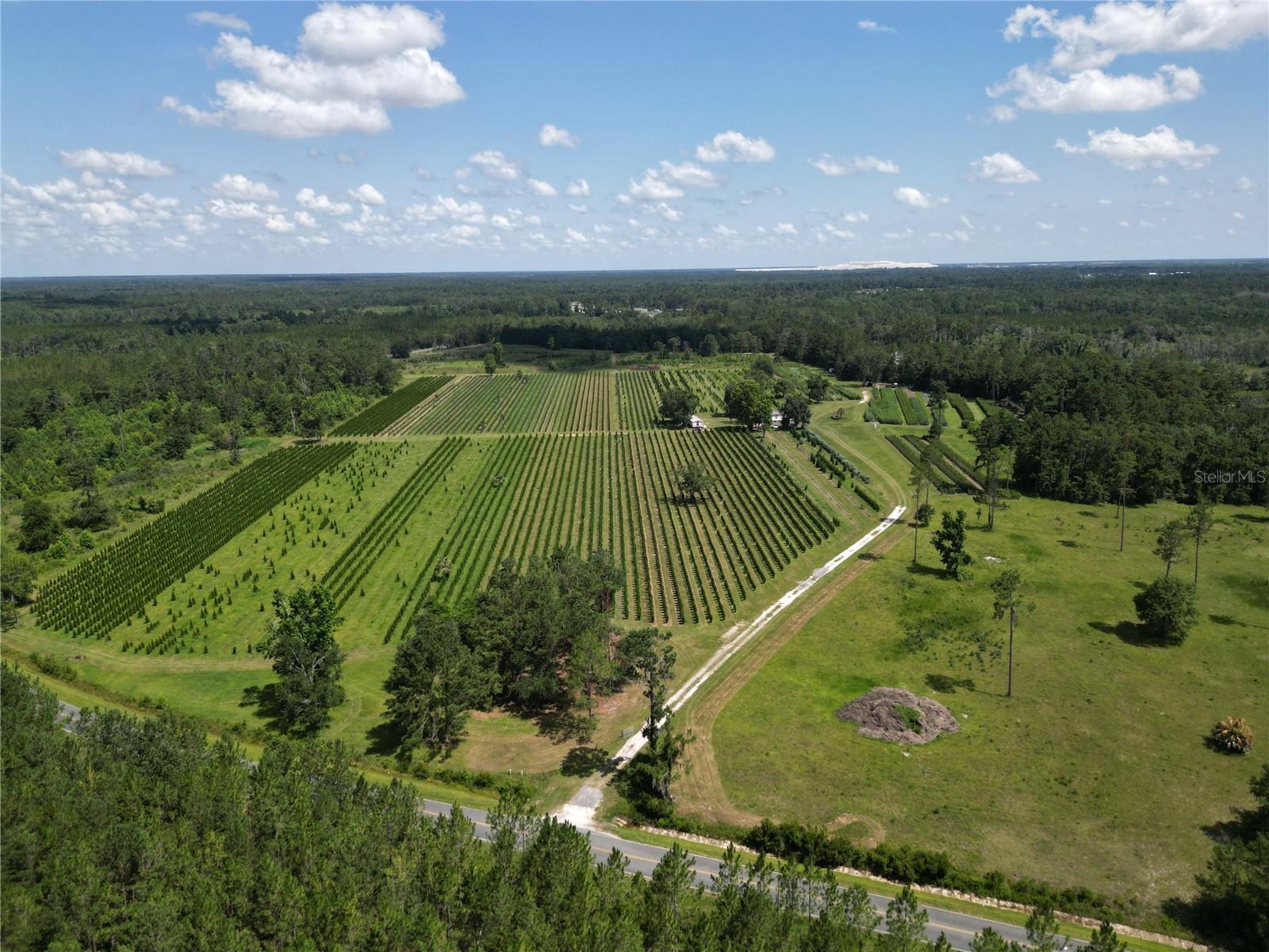 Photo of No Address Listed WHITE SPRINGS FL 32096