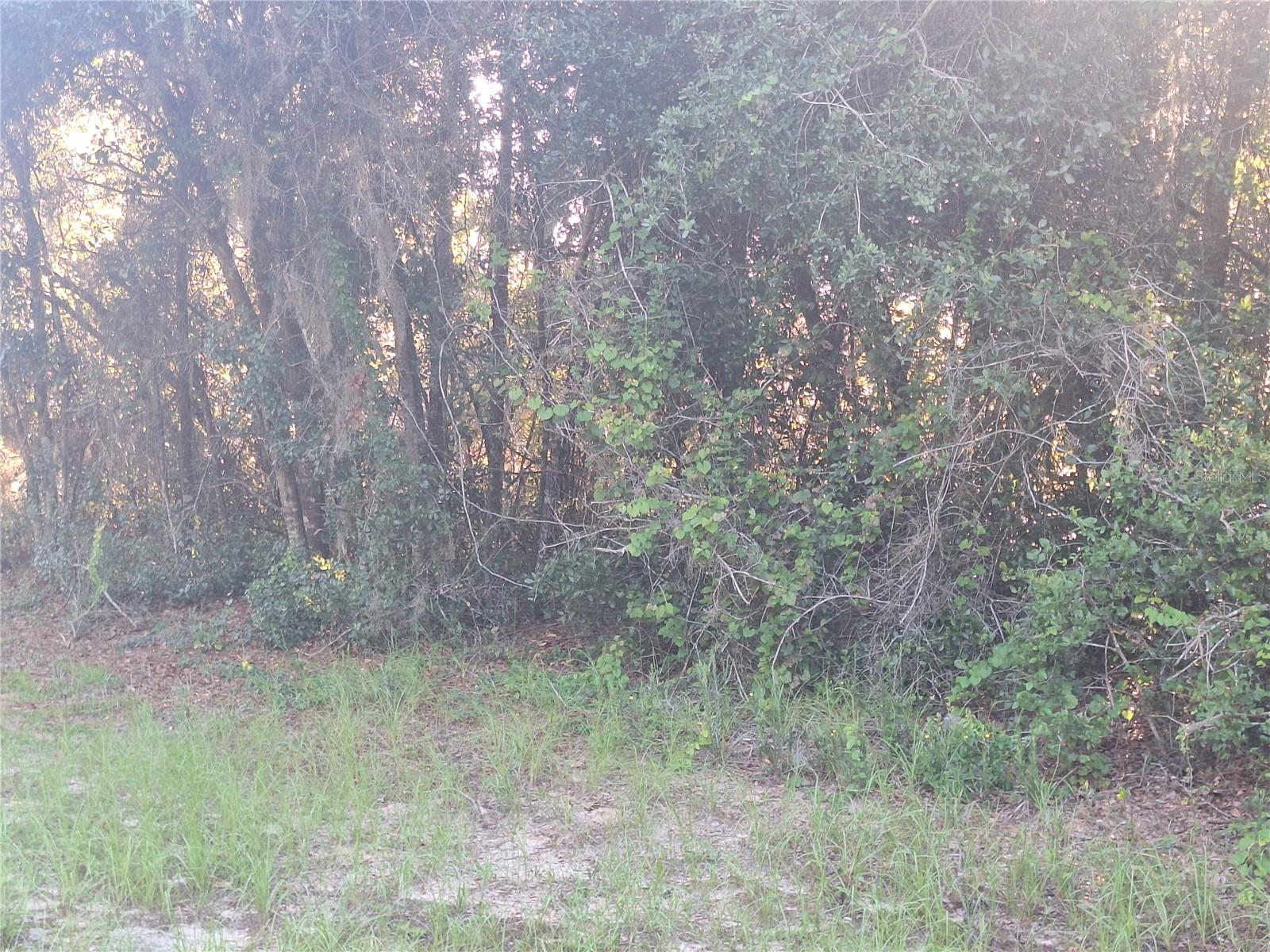 Photo of 2743 KINGSDALE DRIVE DELTONA FL 32738