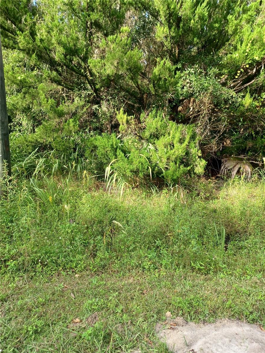Photo of WINONA DRIVE GENEVA FL 32732