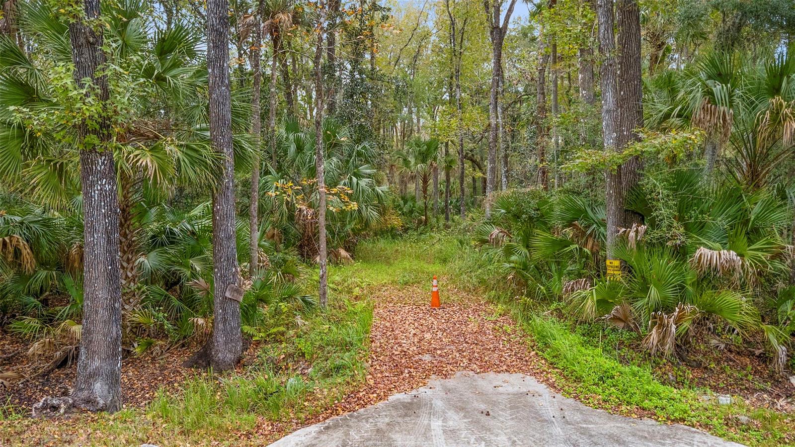 Photo of 1100 MAYTOWN ROAD OAK HILL FL 32759