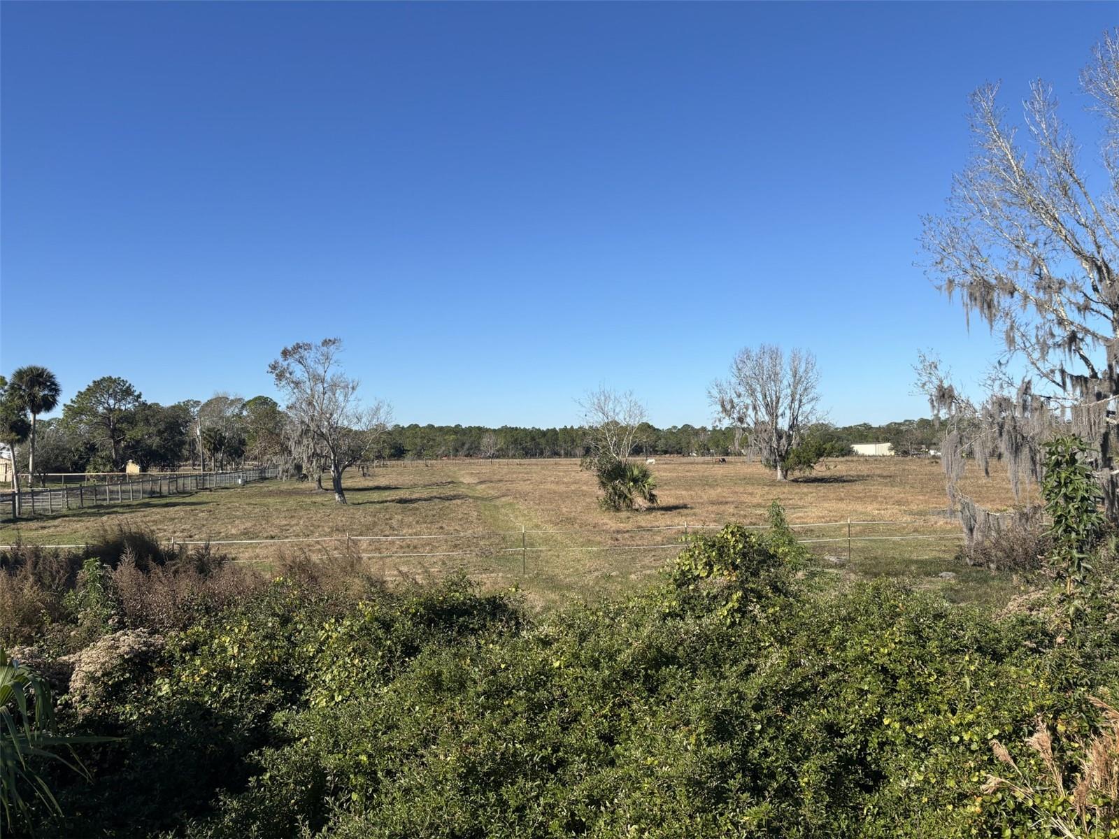 Photo of TOMOKA FARMS ROAD PORT ORANGE FL 32128
