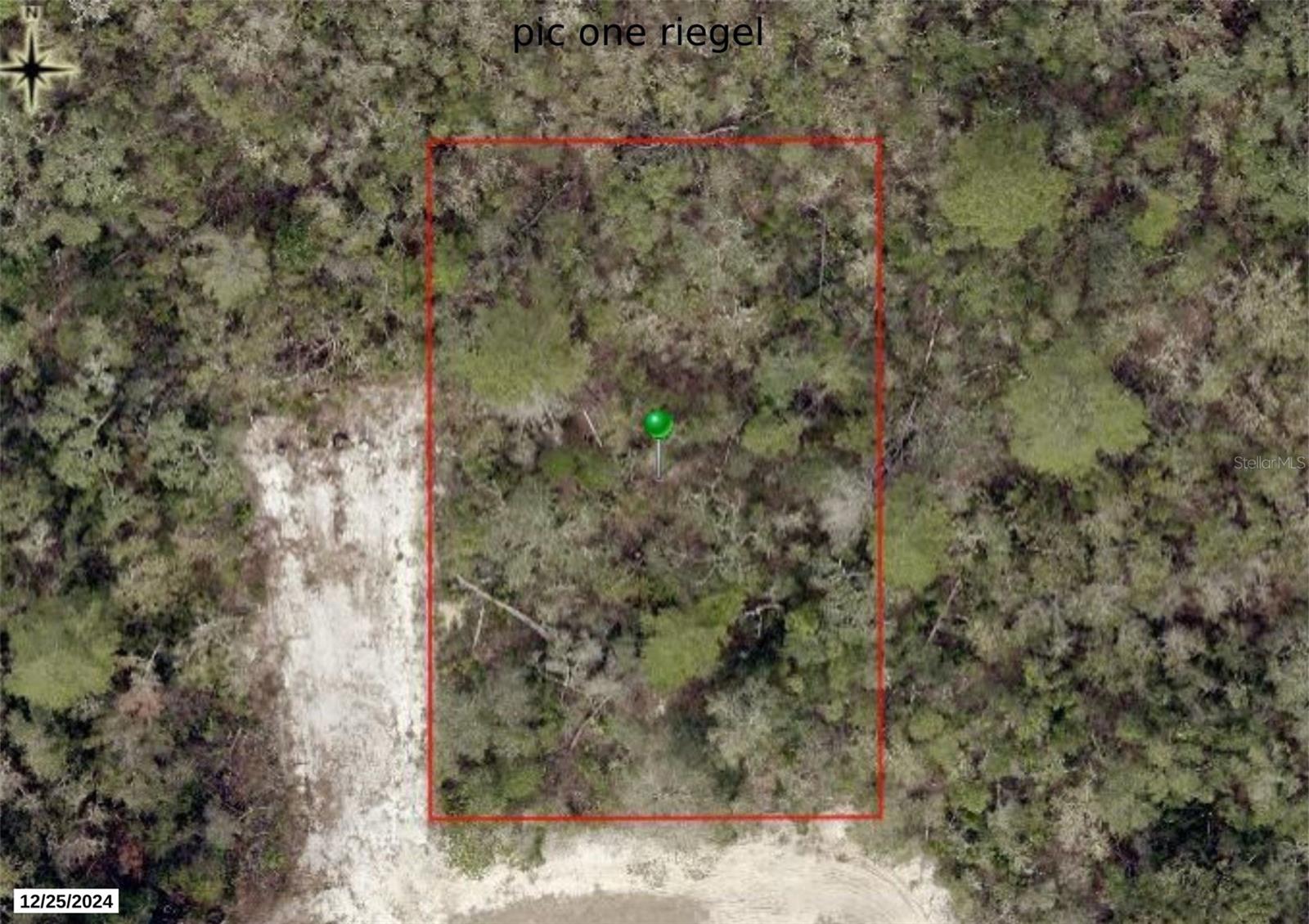 Photo of RIEGEL (PAPER) AVENUE ORANGE CITY FL 32763