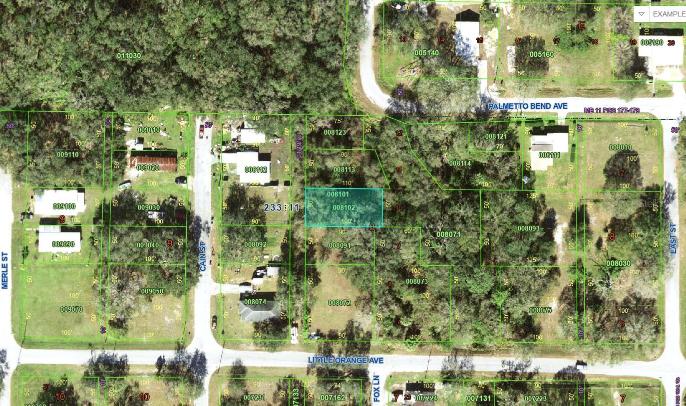 Photo of LITTLE ORANGE AVENUE MULBERRY FL 33860