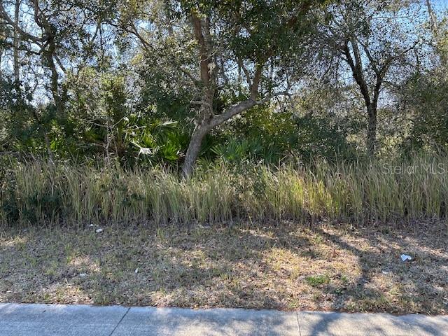 Photo of 825 FORT SMITH BOULEVARD DELTONA FL 32738