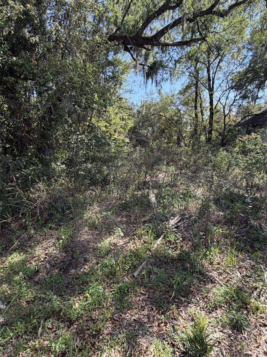 Photo of 110 E MERCERS FERNERY ROAD DELAND FL 32724
