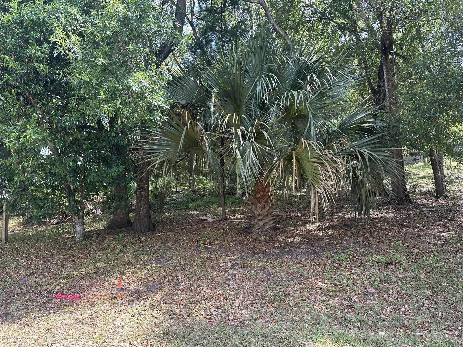 Photo of E ELM DRIVE ORANGE CITY FL 32763