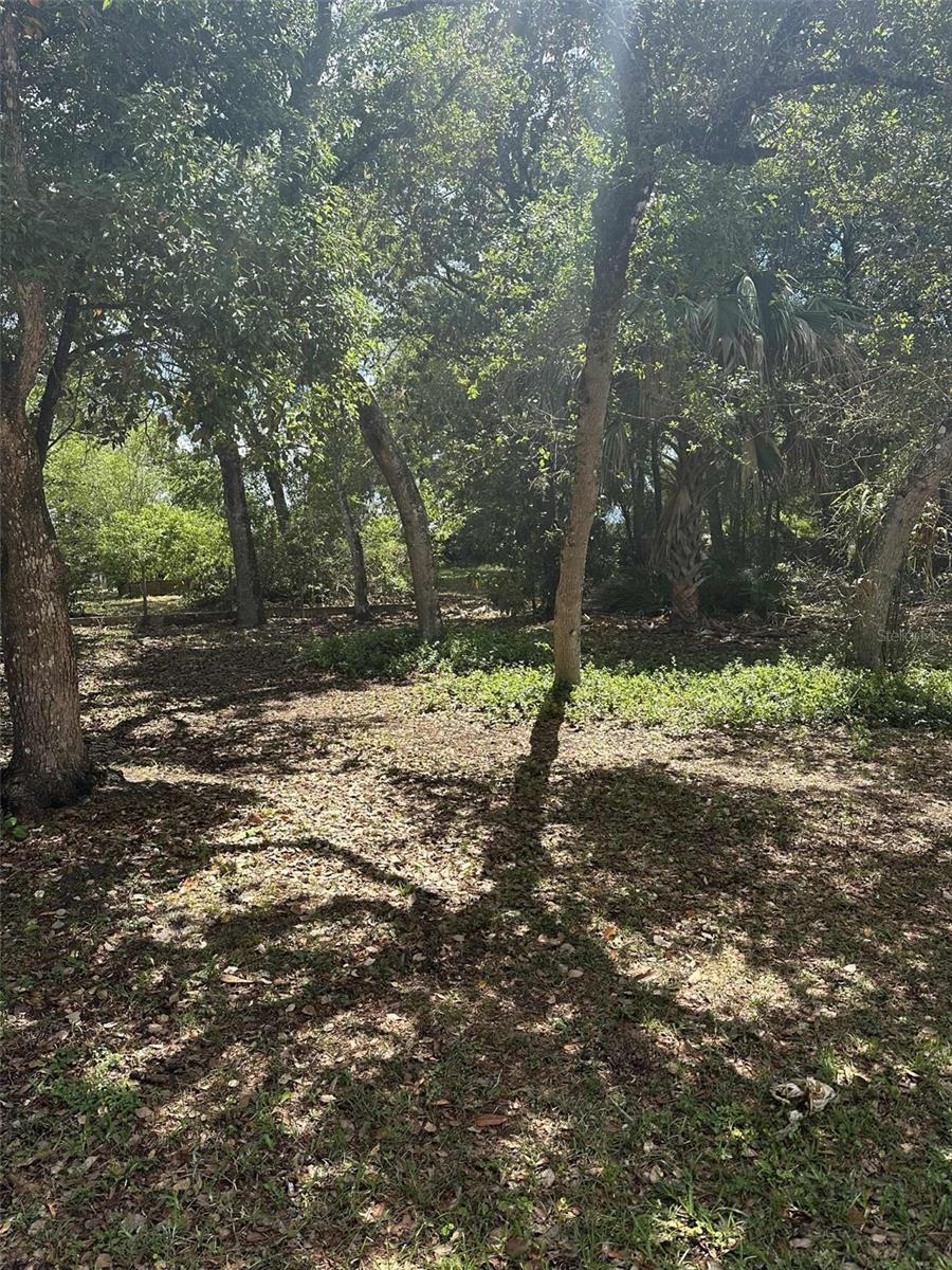 Photo of E ELM DRIVE ORANGE CITY FL 32763
