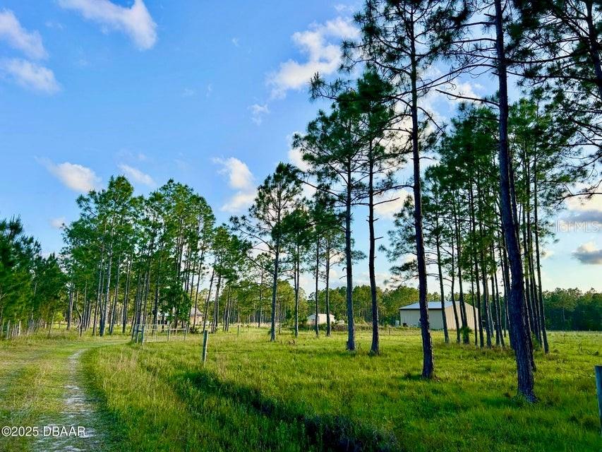 Photo of 201 WASICK LANE ORMOND BEACH FL 32174