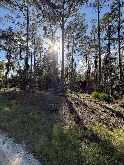 Photo of 215 HIDEAWAY LANE GEORGETOWN FL 32139