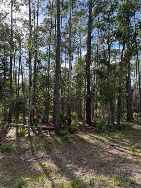 Photo of 207 OCALA COURT GEORGETOWN FL 32139