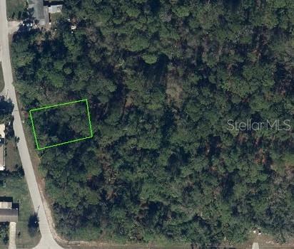 Photo of 209 SERENADE DRIVE LAKE PLACID FL 33852