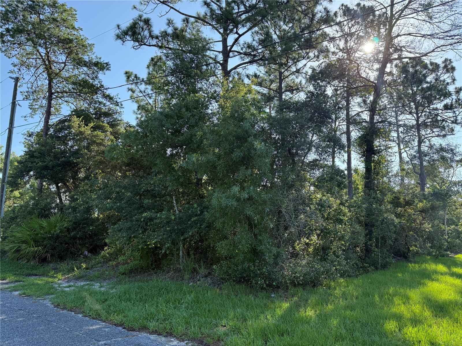 Photo of HICKORY AVENUE ORANGE CITY FL 32763