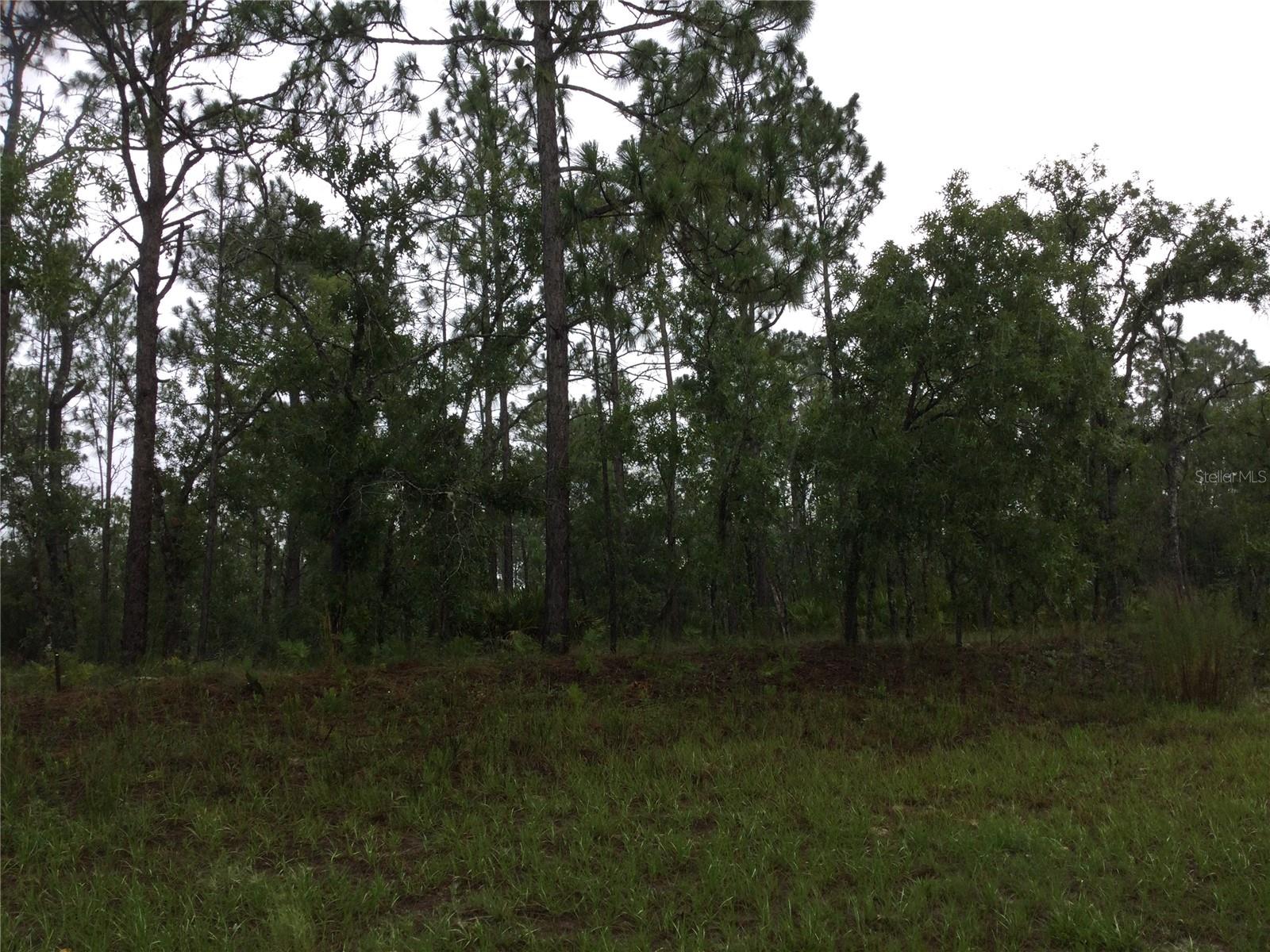 Photo of 2191 W CITRUS SPRINGS BOULEVARD DUNNELLON FL 34434