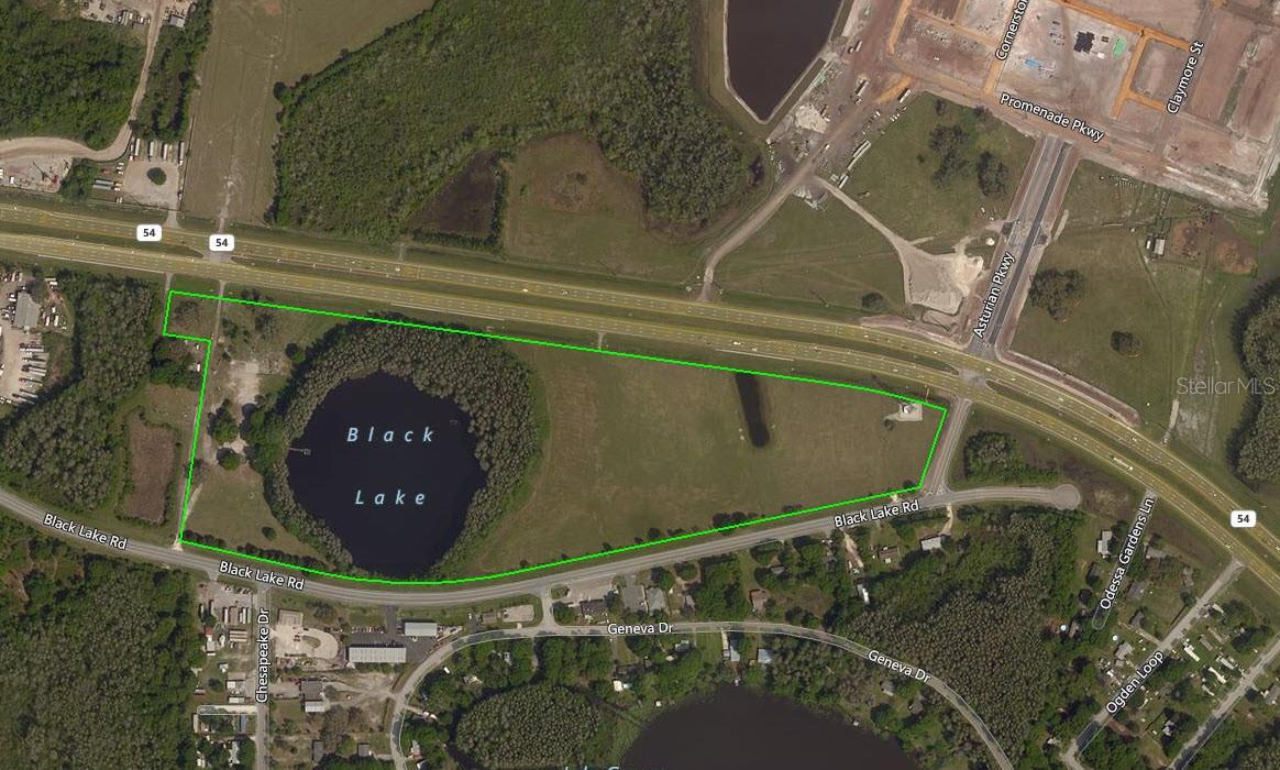 Photo of 14325 BLACK LAKE ROAD ODESSA FL 33556