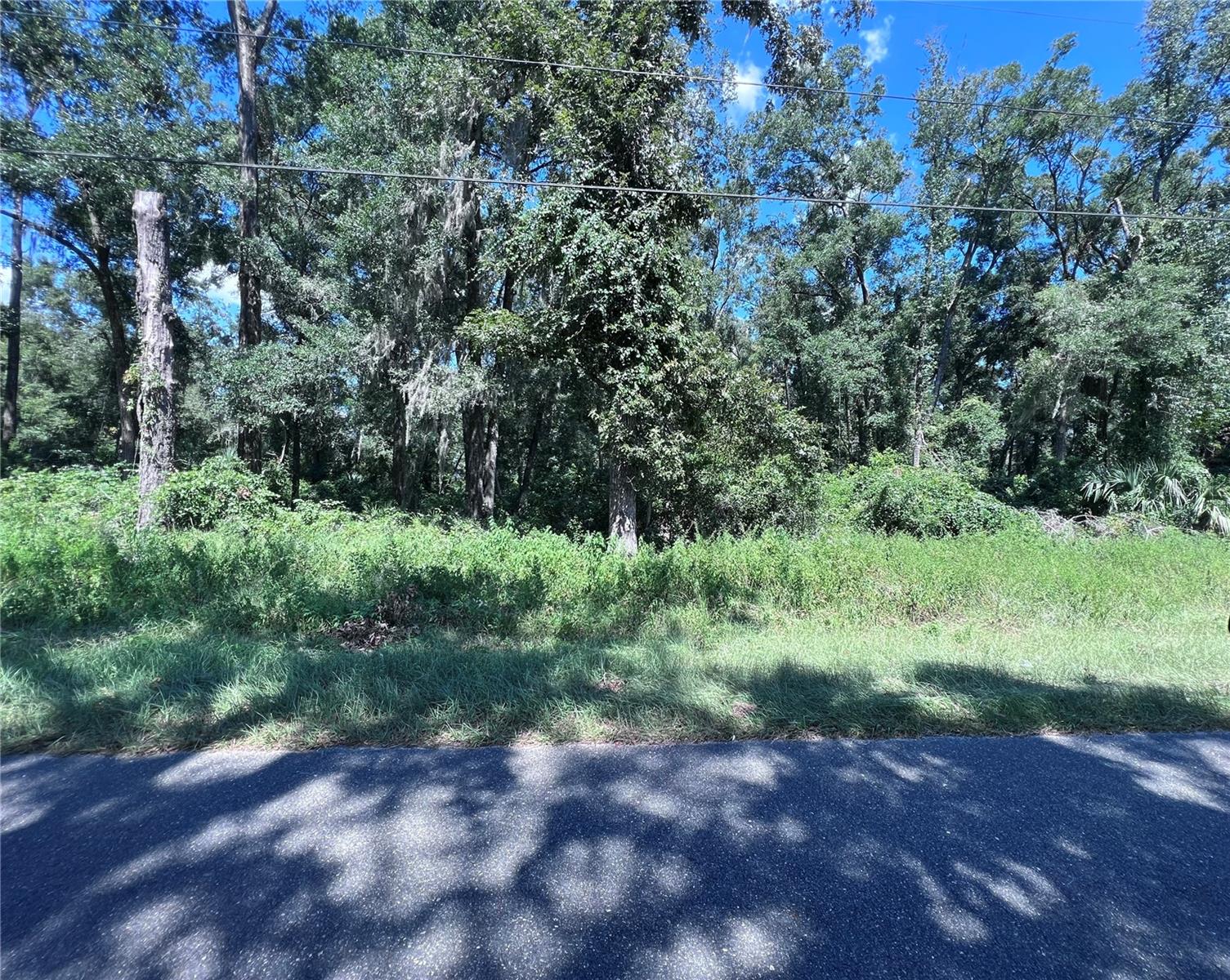 Photo of 00 NW 90TH COURT FANNING SPRINGS FL 32693