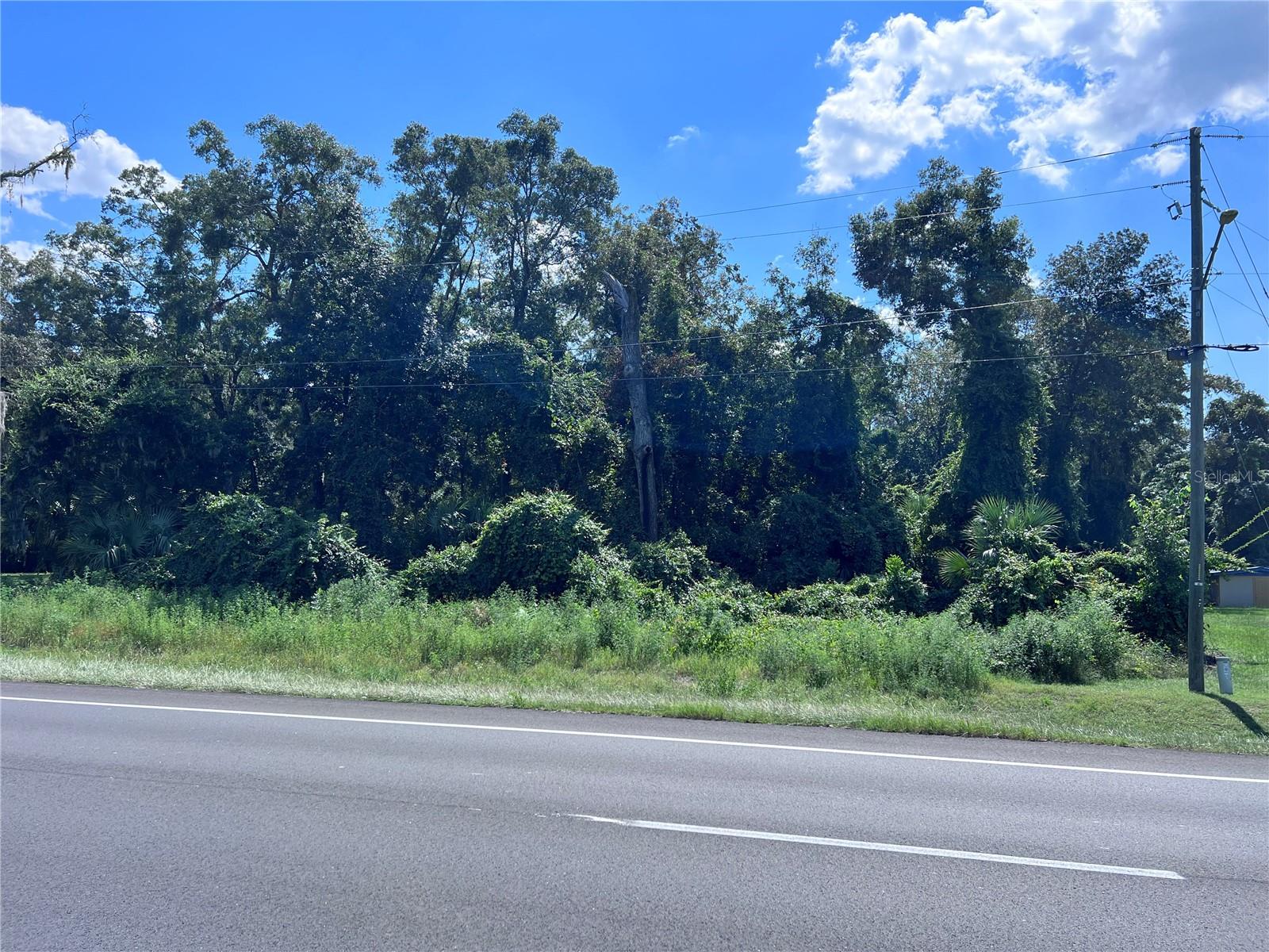 Photo of US 19 HIGHWAY FANNING SPRINGS FL 32693