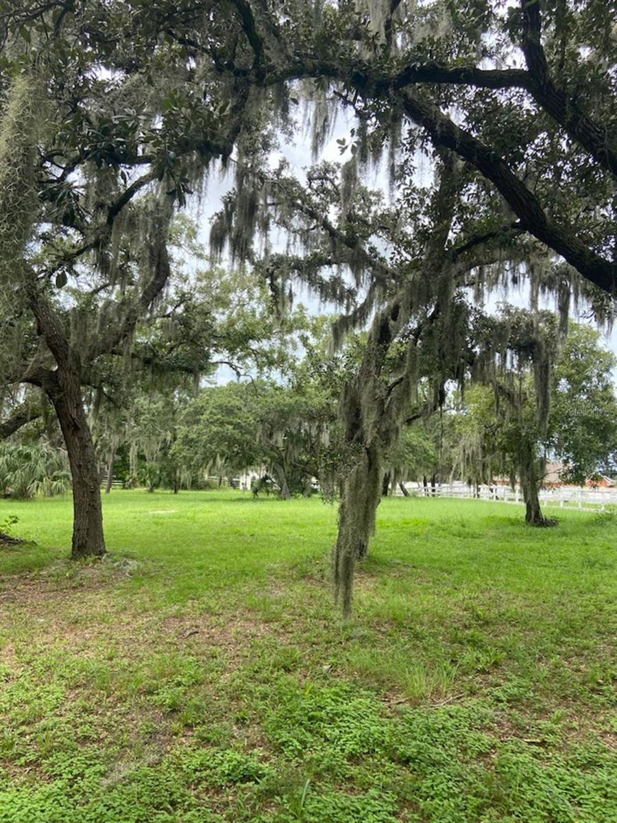 Photo of 0 HILLTOP DRIVE NEW PORT RICHEY FL 34654
