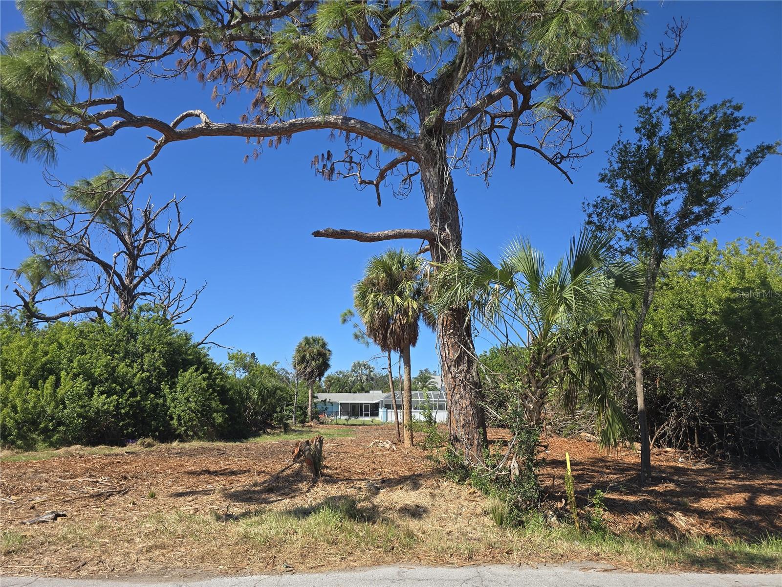 Photo of 6313 OELSNER STREET NEW PORT RICHEY FL 34652