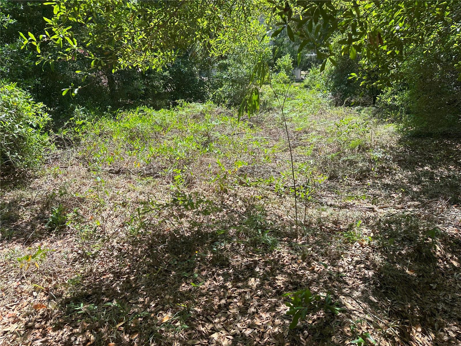 Photo of 671 N GRIFFITH AVENUE CRYSTAL RIVER FL 34429