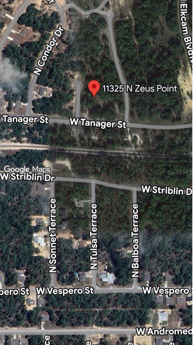 Photo of 11325 N ZEUS POINT DUNNELLON FL 34433