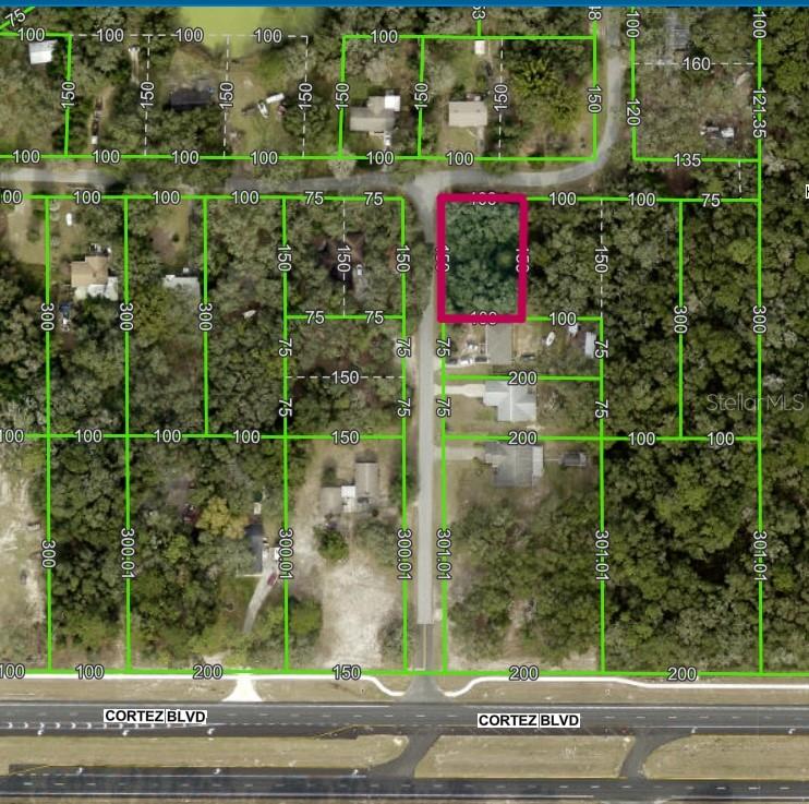 Photo of Lot 175C MADISON AVENUE DADE CITY FL 33523