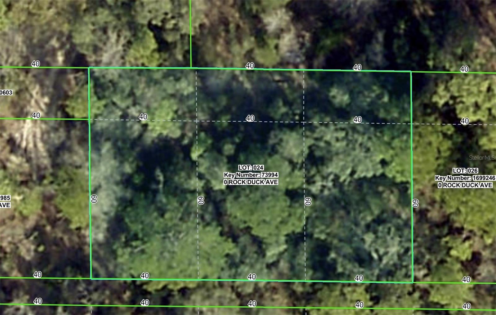 Photo of ROCK DUCK AVENUE BROOKSVILLE FL 34614