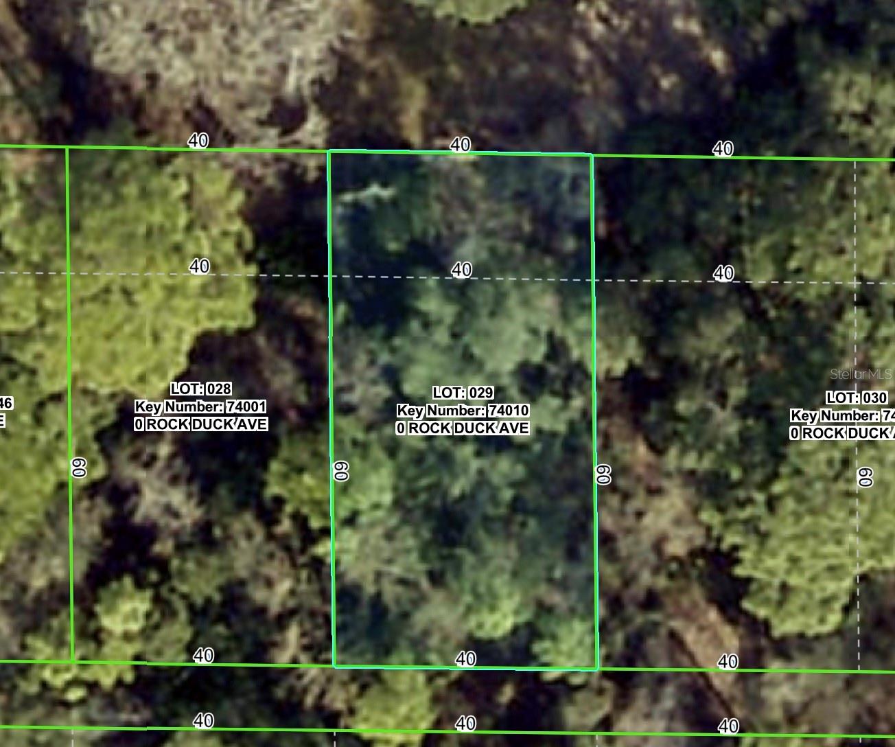 Photo of ROCK DUCK AVENUE BROOKSVILLE FL 34614