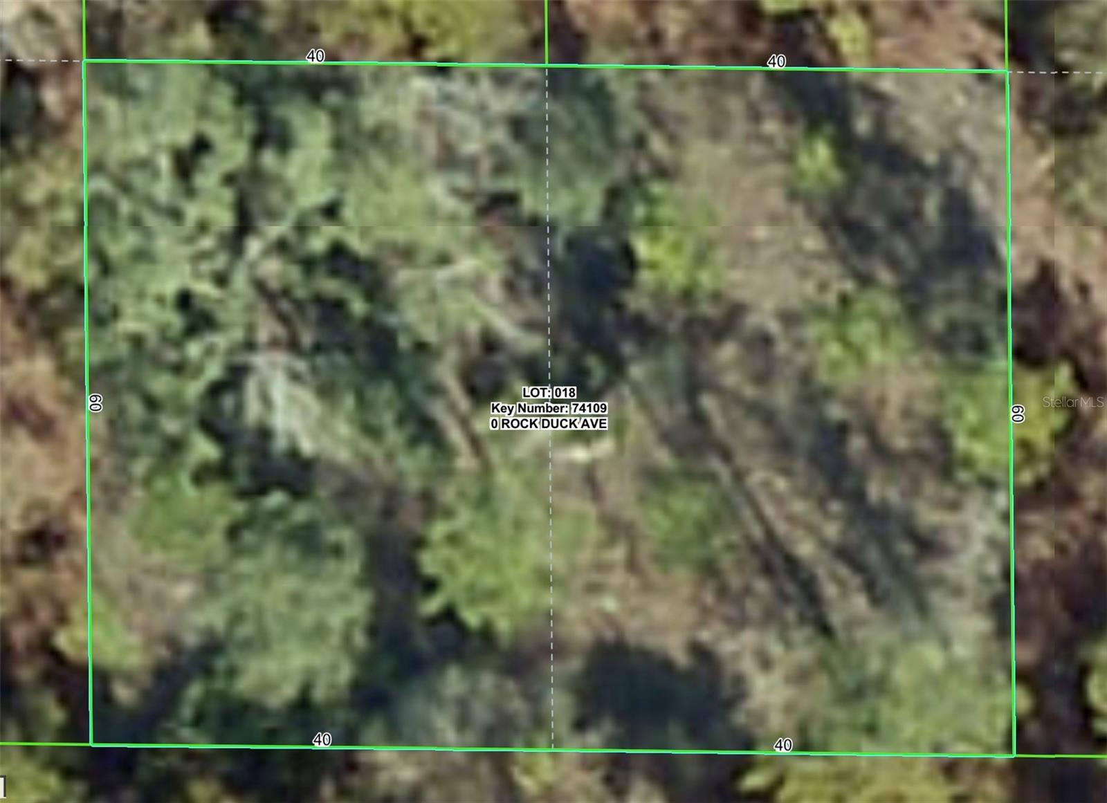Photo of ROCK DUCK AVENUE BROOKSVILLE FL 34614
