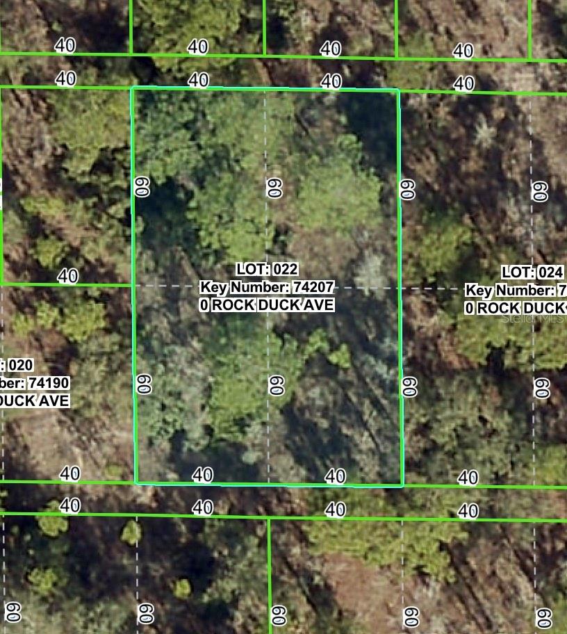 Photo of ROCK DUCK AVENUE BROOKSVILLE FL 34614