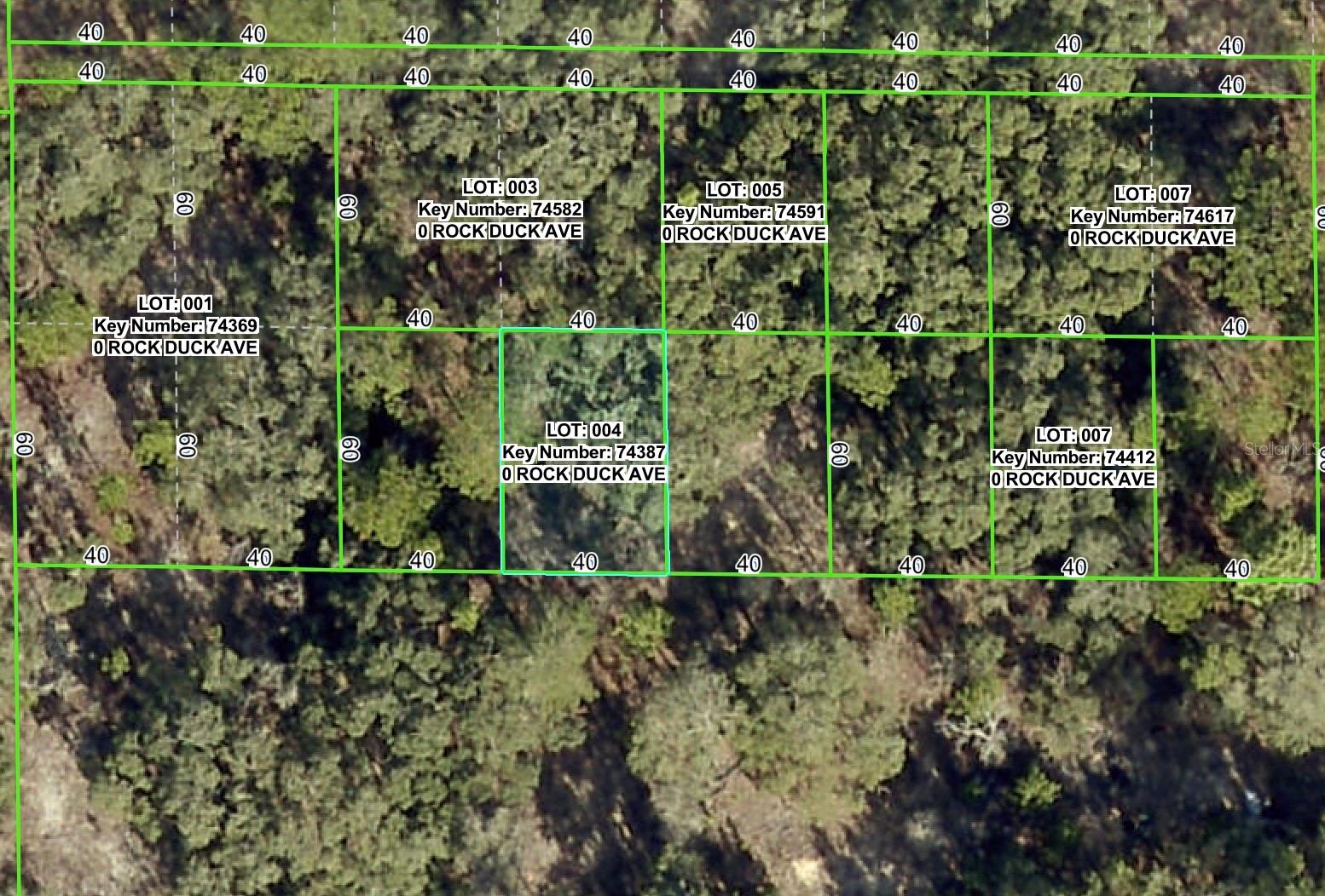 Photo of ROCK DUCK AVENUE BROOKSVILLE FL 34614