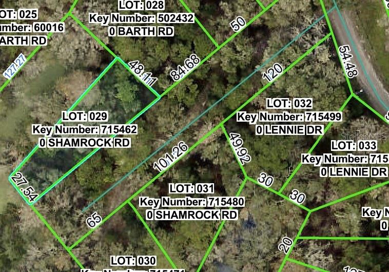 Photo of SHAMROCK ROAD DADE CITY FL 33523