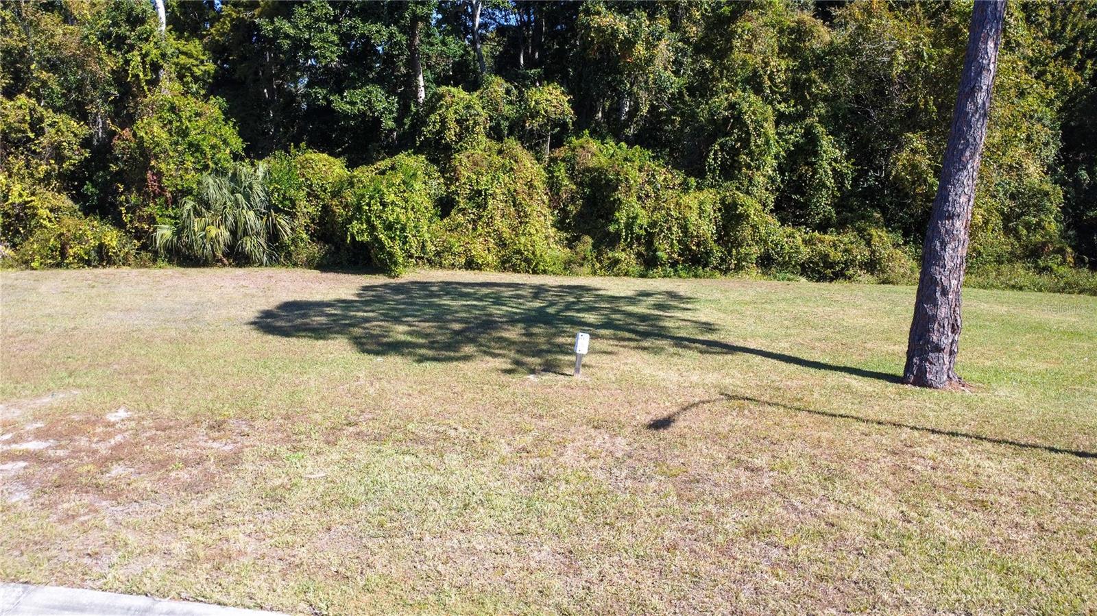 Photo of FOREST GLENN DRIVE SPRING HILL FL 34607