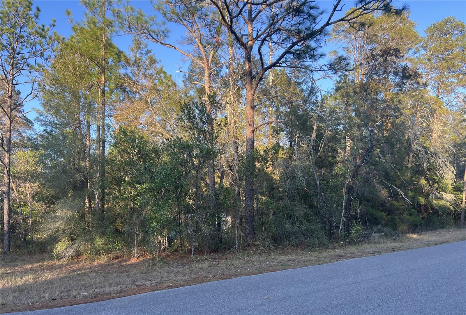 Photo of Lot 4+ BLAIR AVENUE BROOKSVILLE FL 34604