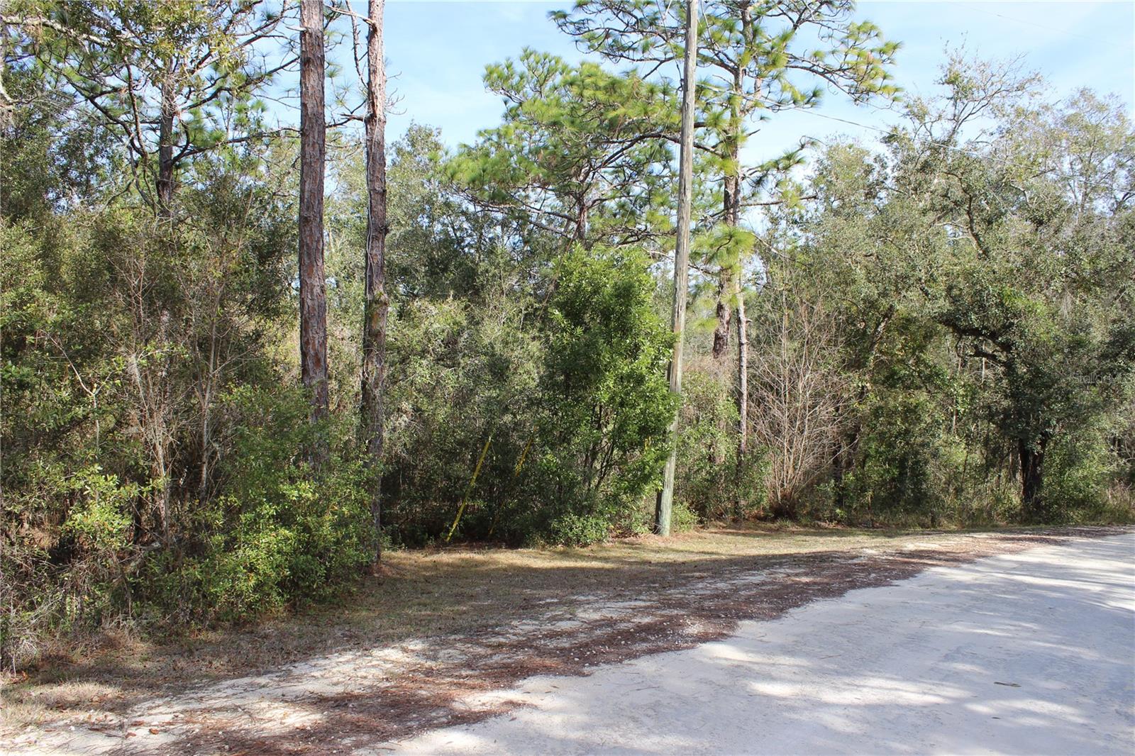 Photo of 34273 BELT DRIVE DADE CITY FL 33523