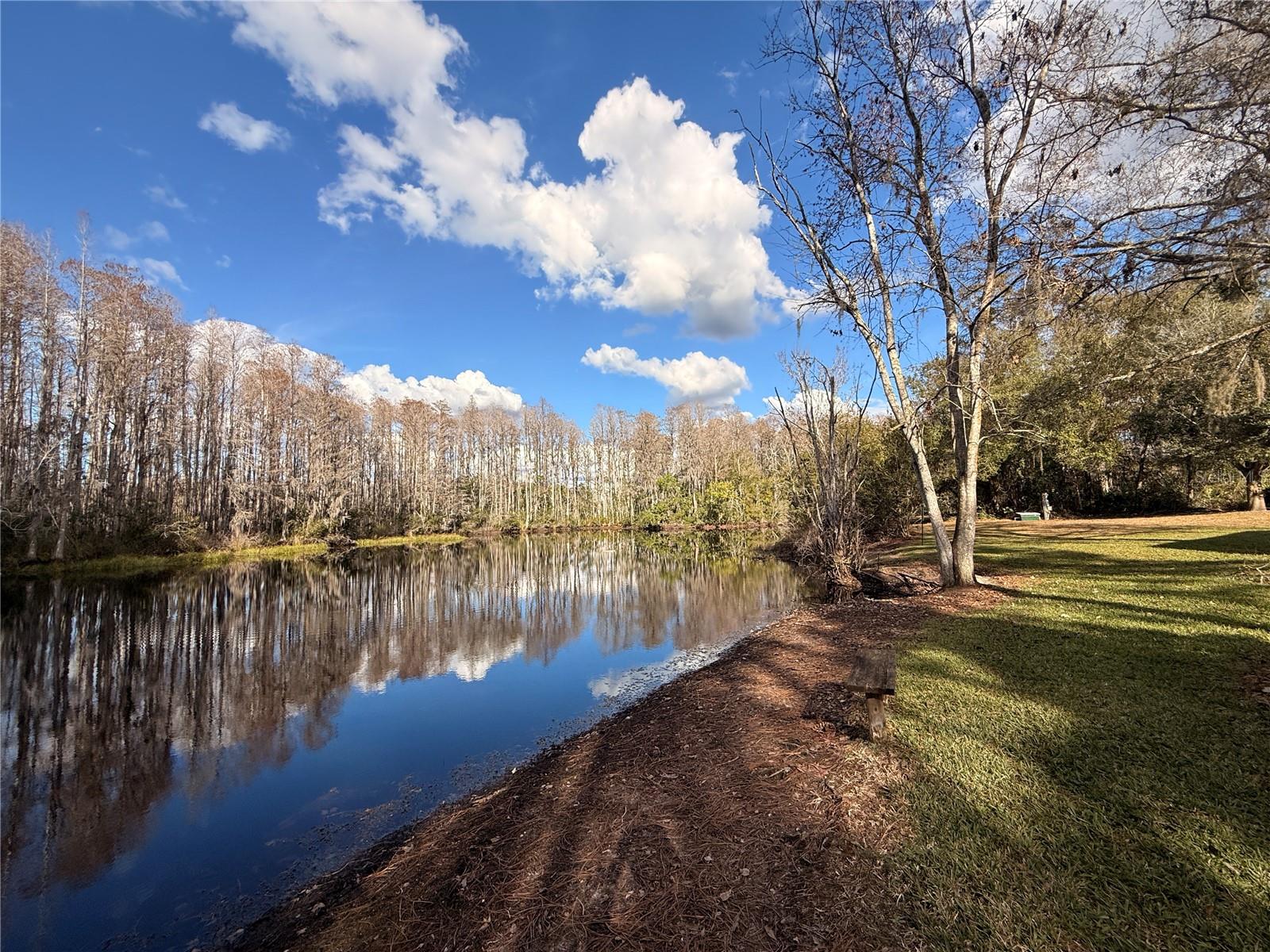 Photo of 12155 ENVIRONMENTAL DRIVE #6 NEW PORT RICHEY FL 34654