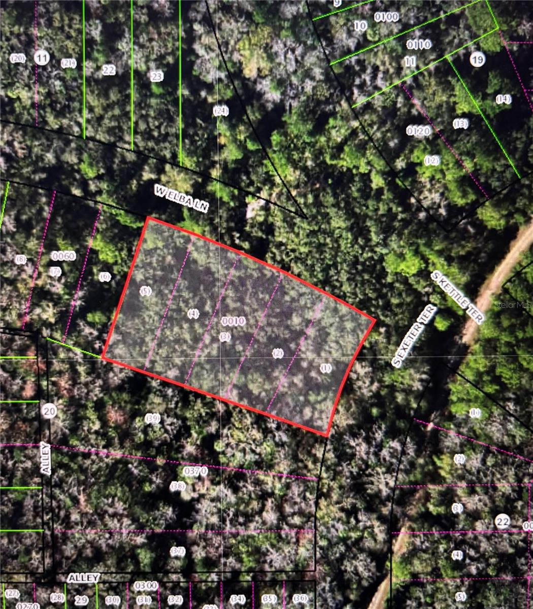 Photo of 8748 W ELBA PLACE HOMOSASSA FL 34448