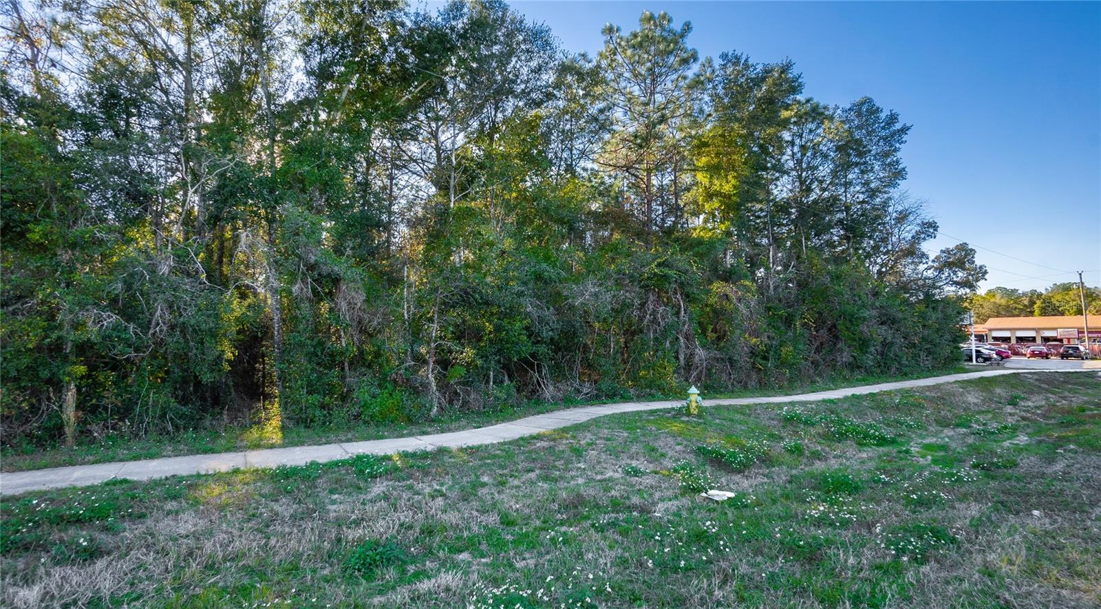 Photo of 4164 W GULF TO LAKE HIGHWAY LECANTO FL 34461