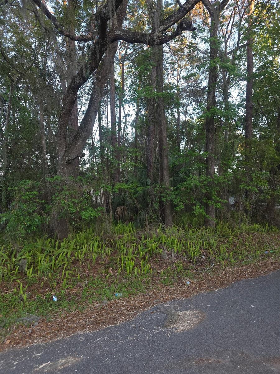 Photo of 0 BETHUNE STREET BROOKSVILLE FL 34601